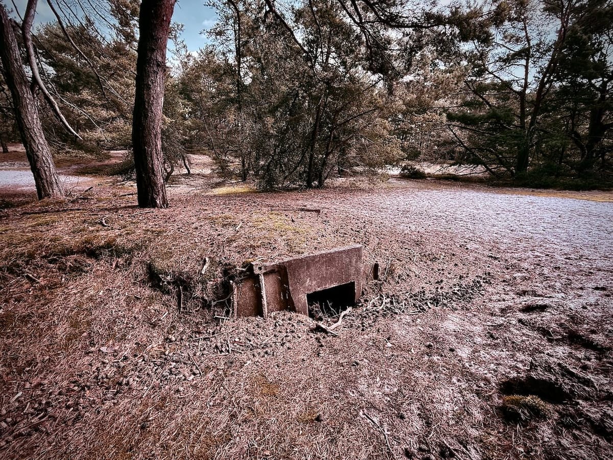 Terrain: Overwritten. Post feature image