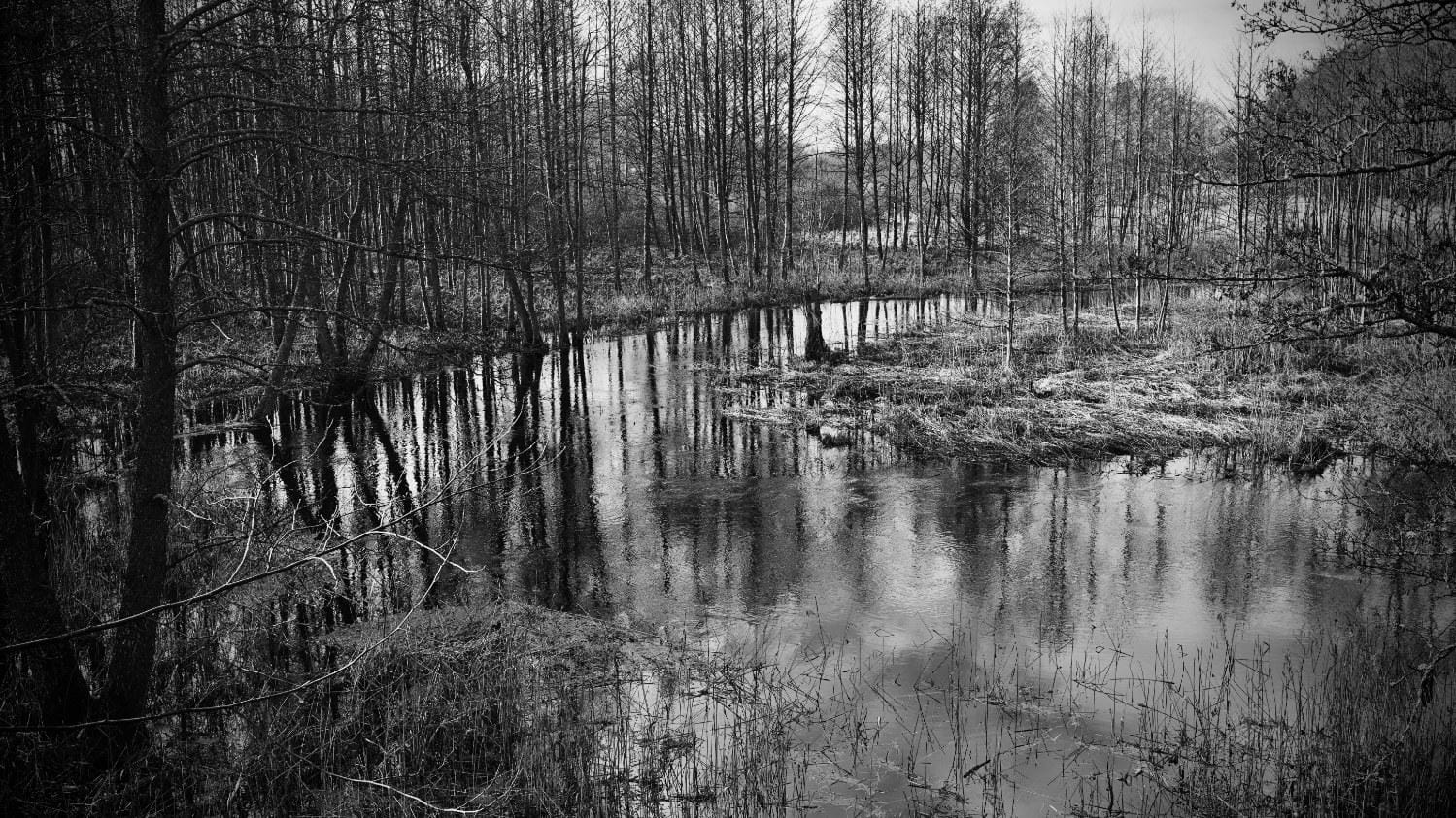 Synaesthesia: Dark Post feature image