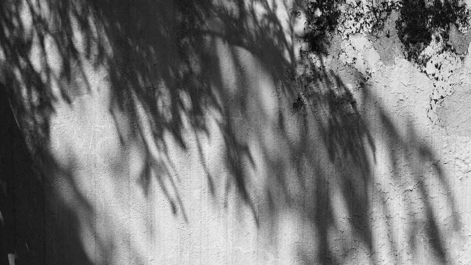 Synaesthesia: Solitude Post feature image