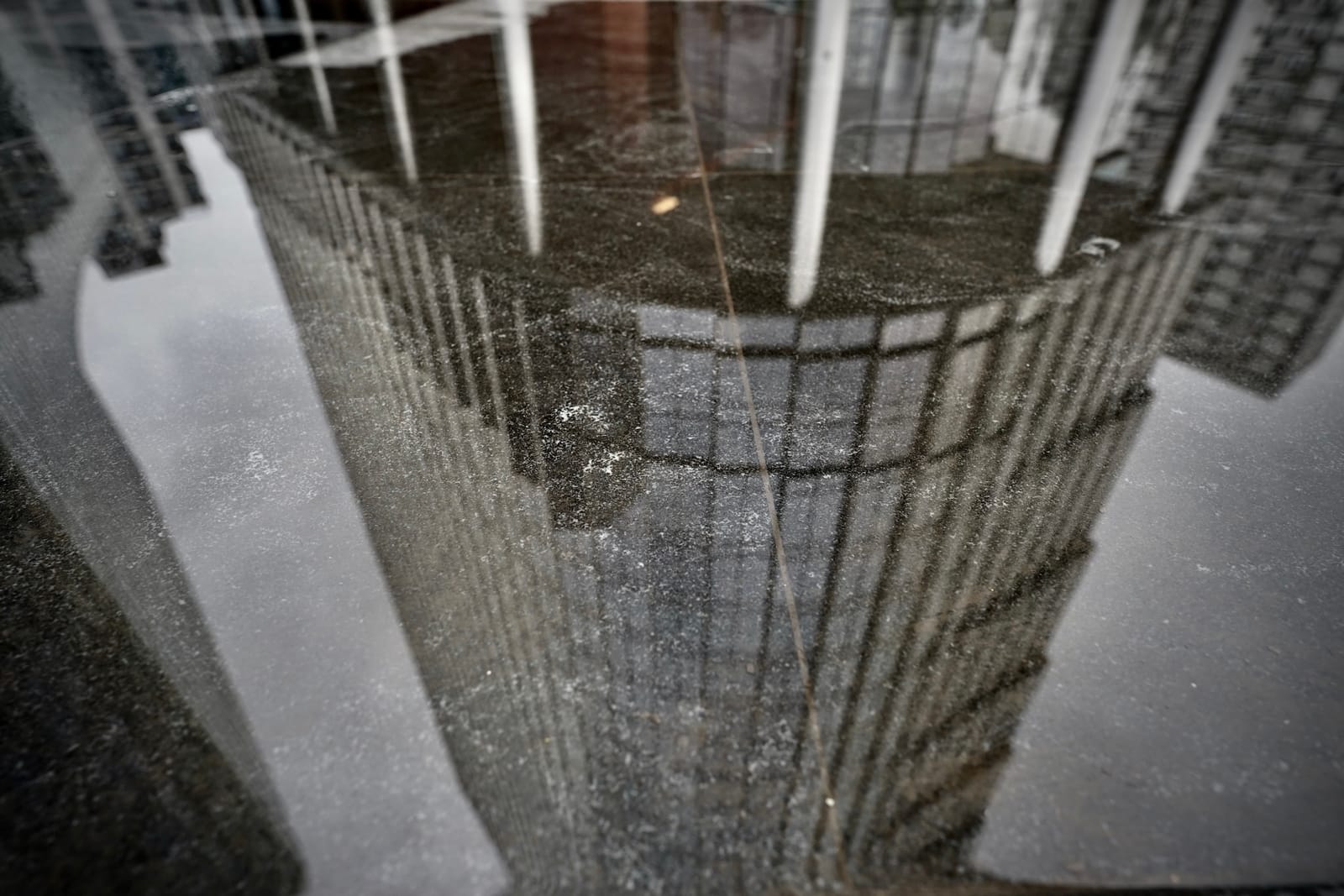 The Reticulated Subject Post feature image