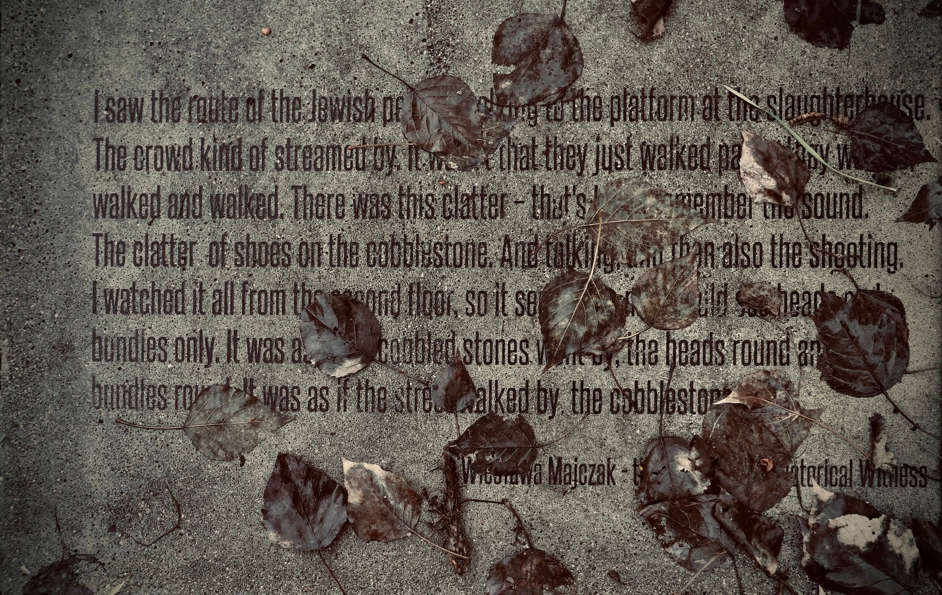 Stepping Stones. Post image