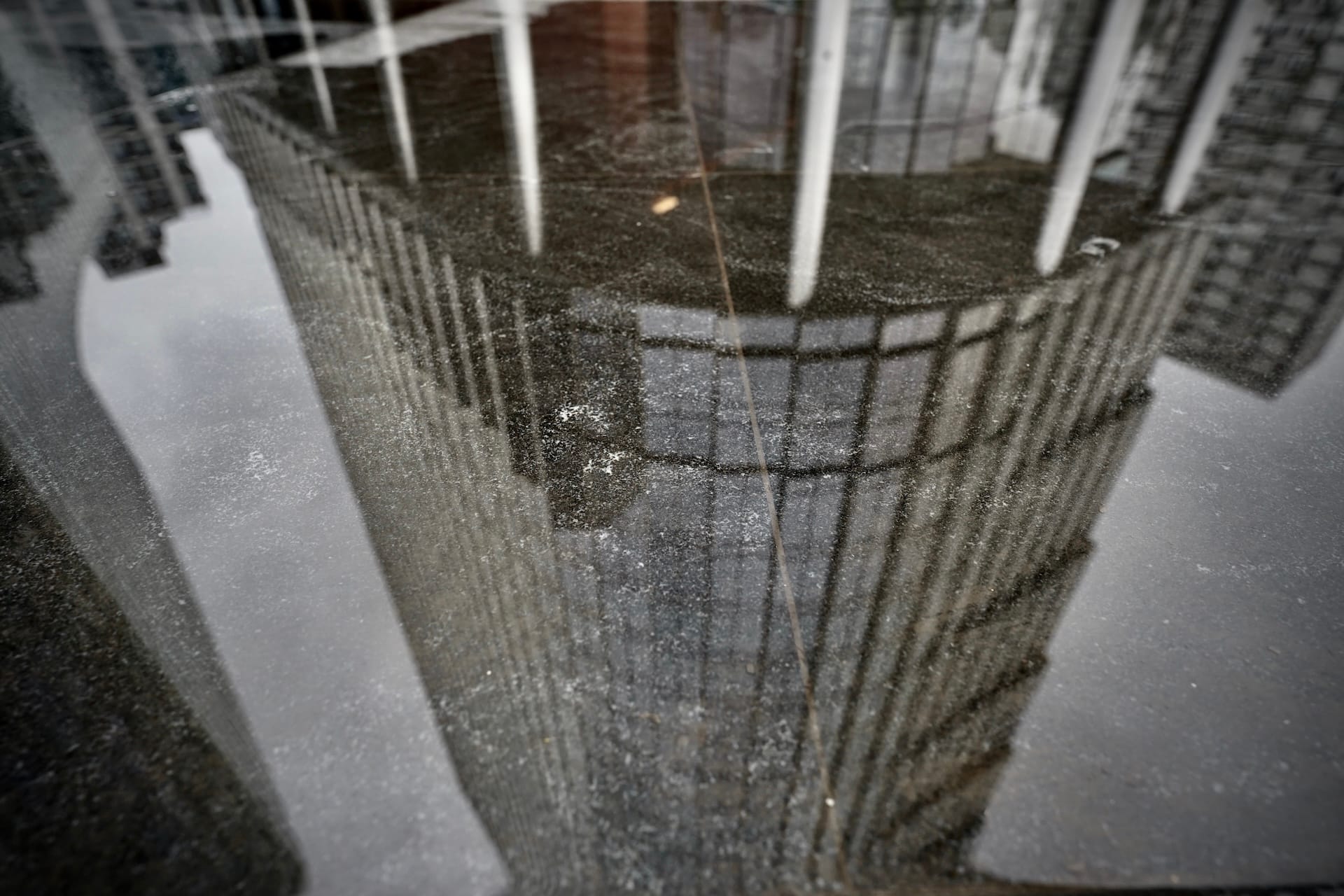 The Reticulated Subject Post feature image