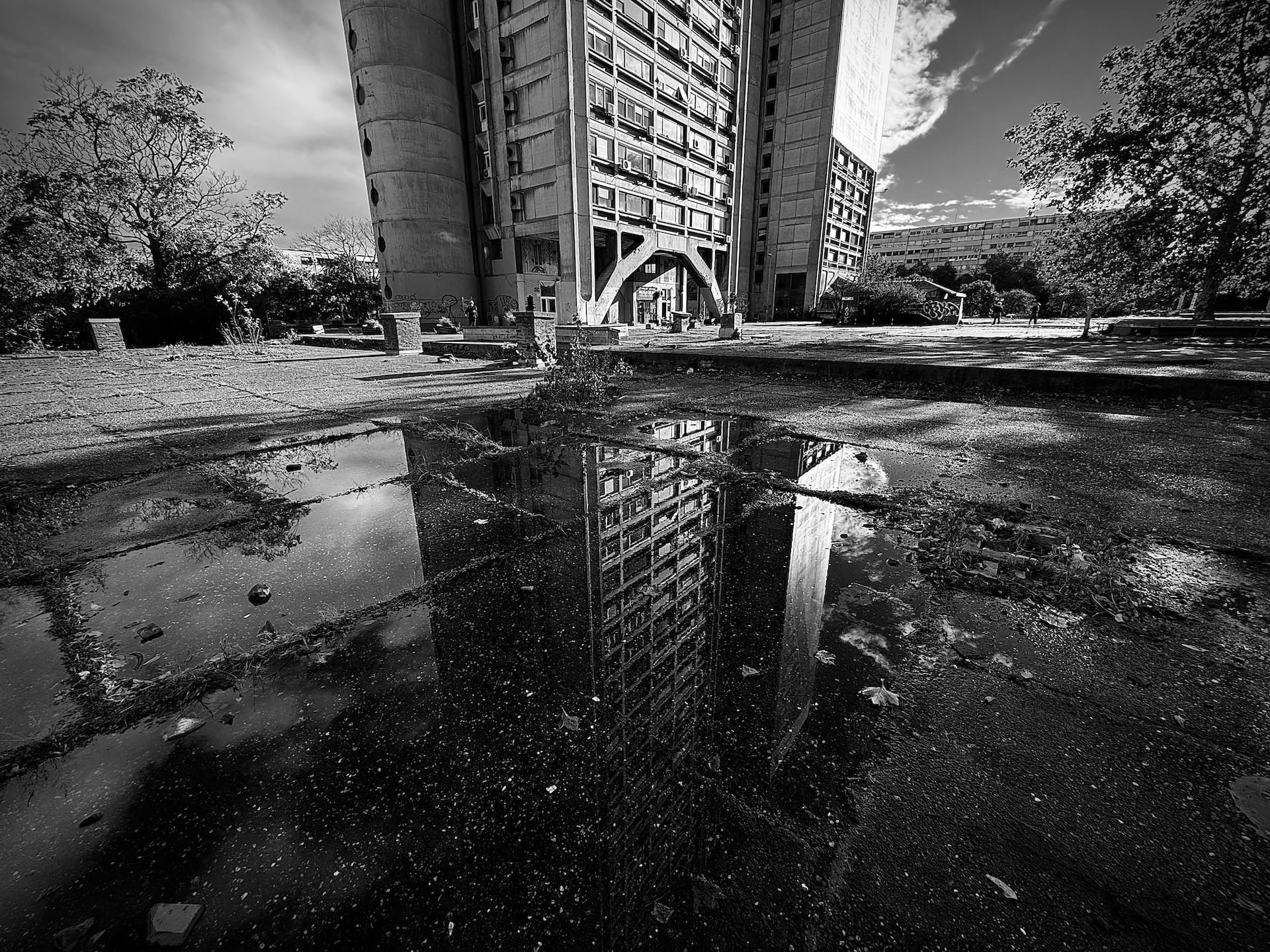 What The Water Sees Post image