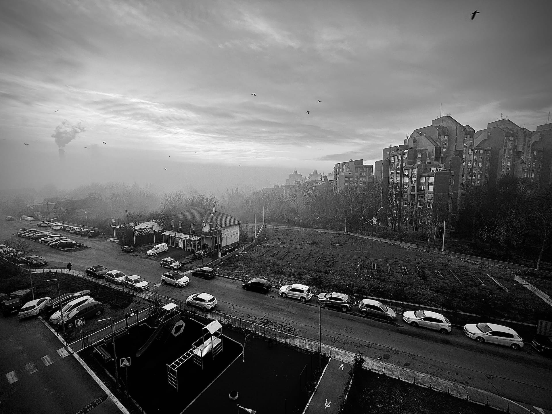 Between Stimulus & Response Post image